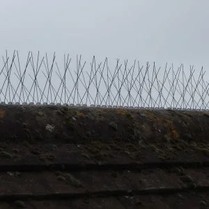 Enviroguard Seagull Spikes Per Metre